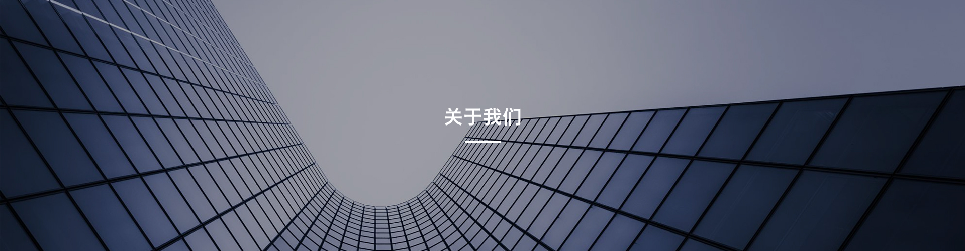 公司簡介